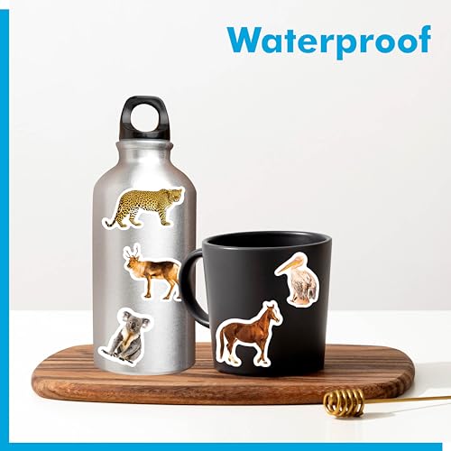 Gethelud 700 PCS Wild Animal Stickers, 100+ Realistic Animals Cute Zoo Animal Stickers Water/Tear Resistant with No Residue Washable Decals for Teachers, Kids, Students, Water Bottle, Laptop, Scrapbook - Image 3