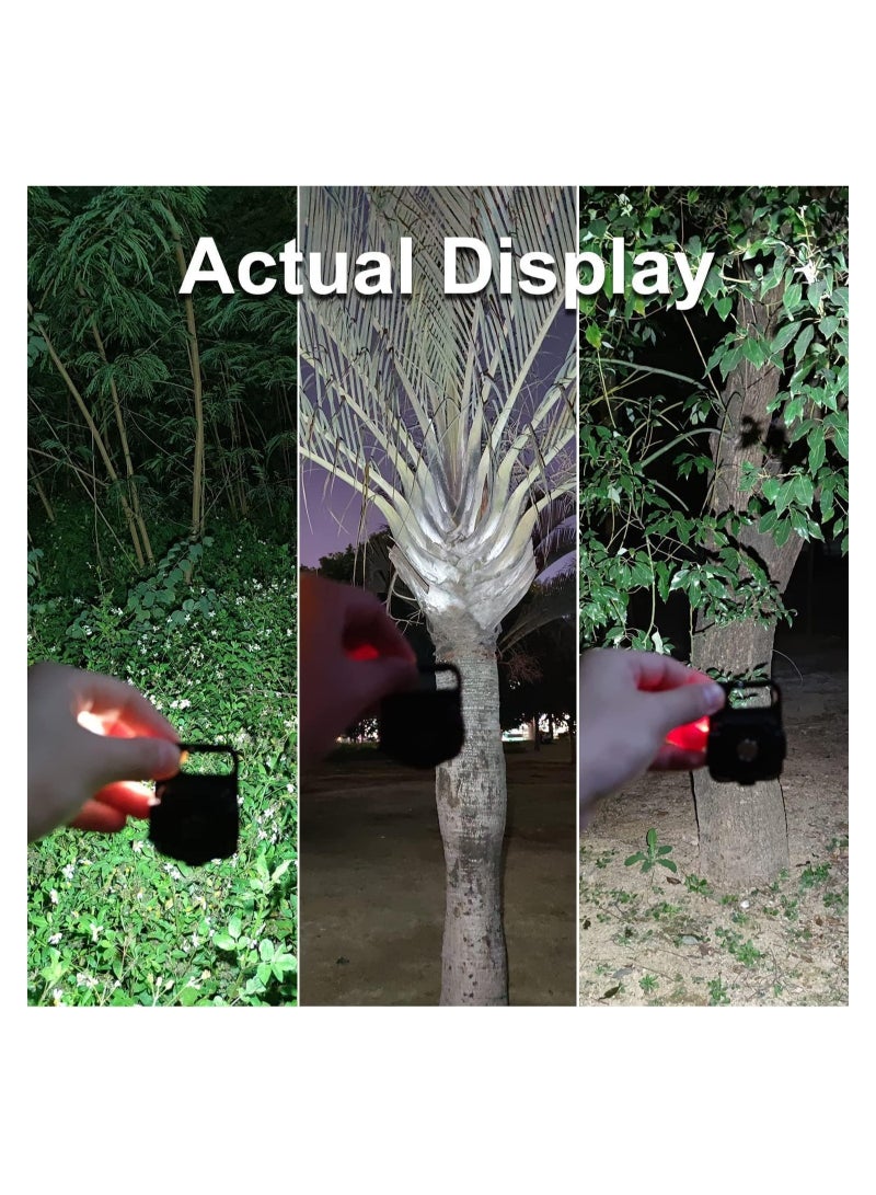 ELTRAZONE مصباح يدوي صغير، 800 لومن COB ساطع، مصابيح يدوي قابلة للشحن، أسود، LEDLIG01-B - Image 3