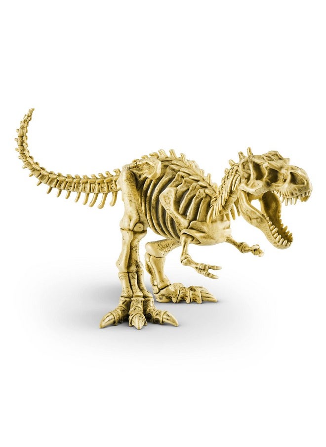 ROBO ALIVE Robo Alive Mega Dino Fossil Find (T-Rex) by ZURU Dig and Discover, STEM, Excavate Prehistoric Fossils, Dinosaur Toys, Educational Toys, Great Science Kit Gift for Girls and Boys  - Image 2