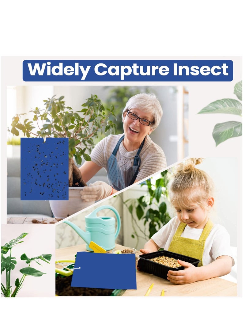 Generic Fruit Fly Trap, 50Pack Blue Double Sided Sticky Gnat Traps Killer, Blue Gnat Traps Sticky Traps for House Indoor Outdoor Flying Plant Insect, Fungus Gnats Whiteflies Aphids Leaf Miners, 25X20CM  - Image 3