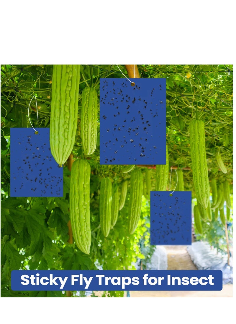 Generic Fruit Fly Trap, 50Pack Blue Double Sided Sticky Gnat Traps Killer, Blue Gnat Traps Sticky Traps for House Indoor Outdoor Flying Plant Insect, Fungus Gnats Whiteflies Aphids Leaf Miners, 25X20CM  - Image 4