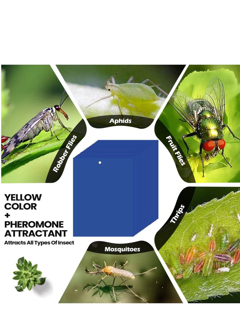 Generic Fruit Fly Trap, 50Pack Blue Double Sided Sticky Gnat Traps Killer, Blue Gnat Traps Sticky Traps for House Indoor Outdoor Flying Plant Insect, Fungus Gnats Whiteflies Aphids Leaf Miners, 25X20CM  - Image 2