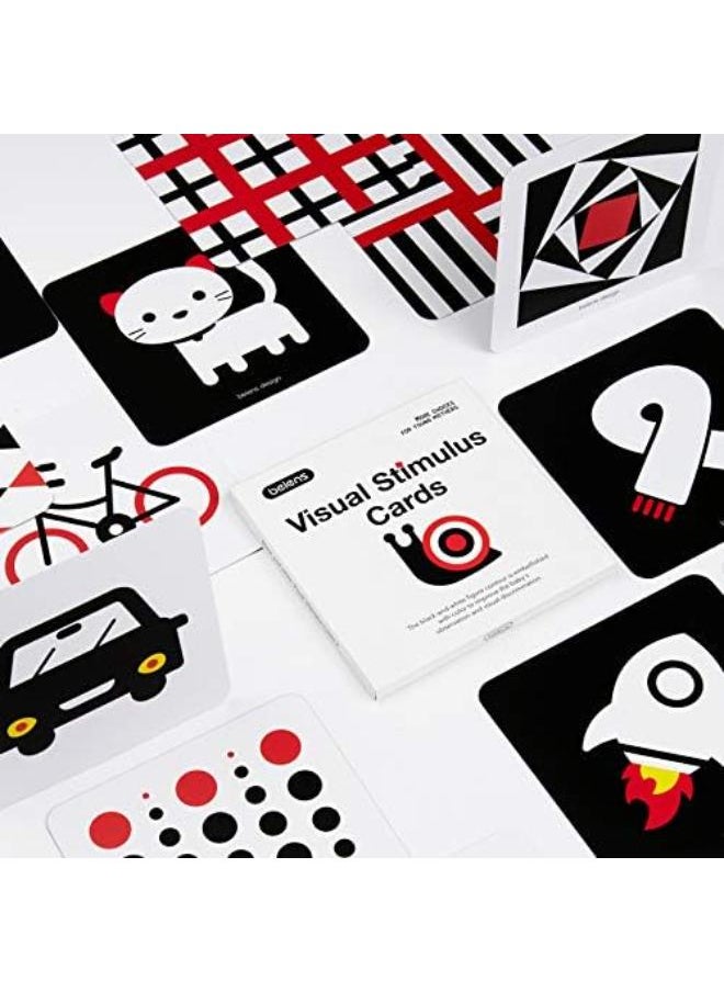 beiens High Contrast Baby Flashcards, Newborn Brain Development Toys, Visual Stimulation Learning Activity Cards, 20 PCs 40 Pages Educational Infants Gift (3-6 Months (Black & White & Color)) 