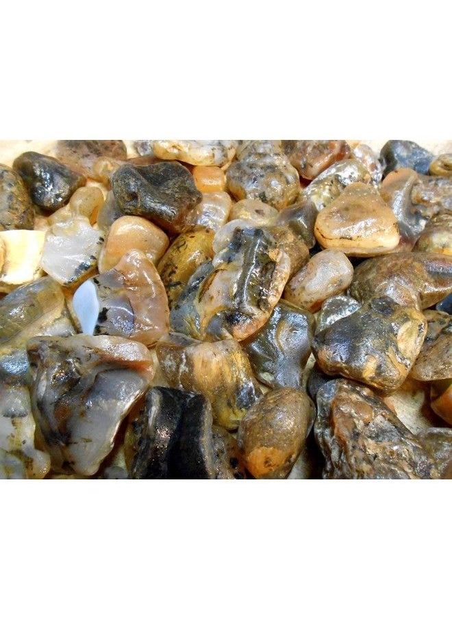 Rock Tumbler Gem Refill Kit Yellowstone,Montana Black Dendrite Agate Rough 8 Oz  - Image 3