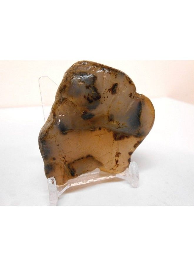Rock Tumbler Gem Refill Kit Yellowstone,Montana Black Dendrite Agate Rough 8 Oz  - Image 5