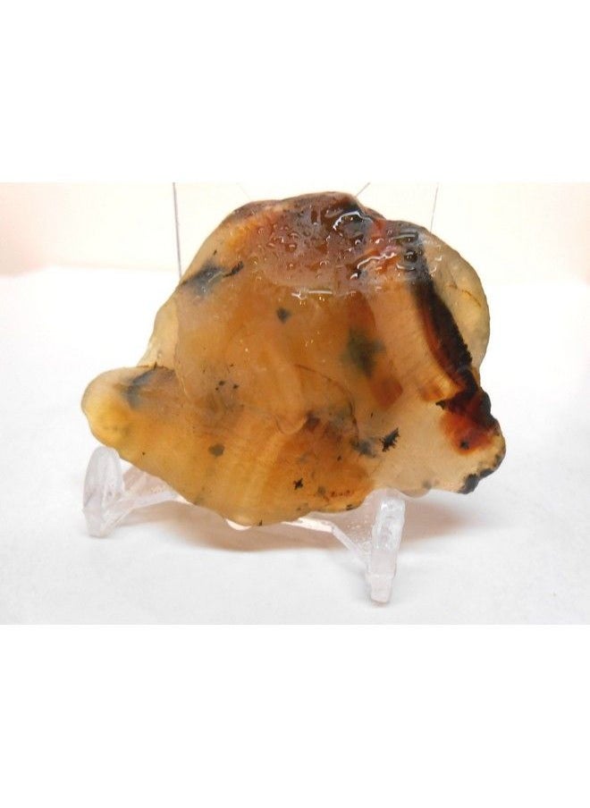 Rock Tumbler Gem Refill Kit Yellowstone,Montana Black Dendrite Agate Rough 8 Oz  - Image 4