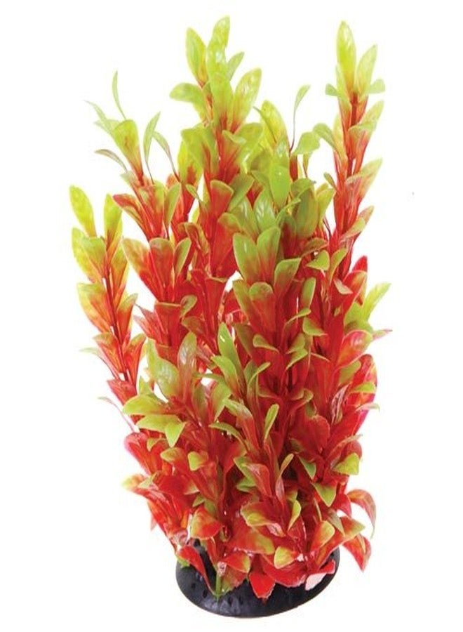 Underwater Treasures 20757 Red Ludwigia - Image 1