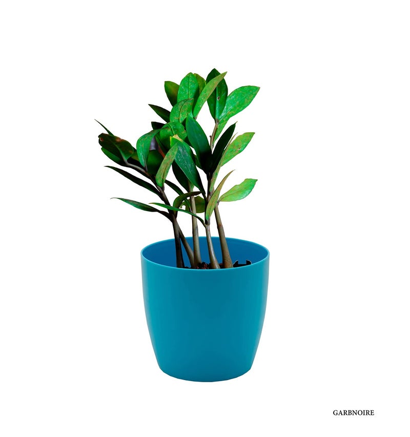 garbnoire Gardening Flower Pots - 4.4 Inch Plastic Flower Pots | Modern Decorative Indoor Outdoor Planters/Pots - Pack of (Turquoise, 10) - Image 3