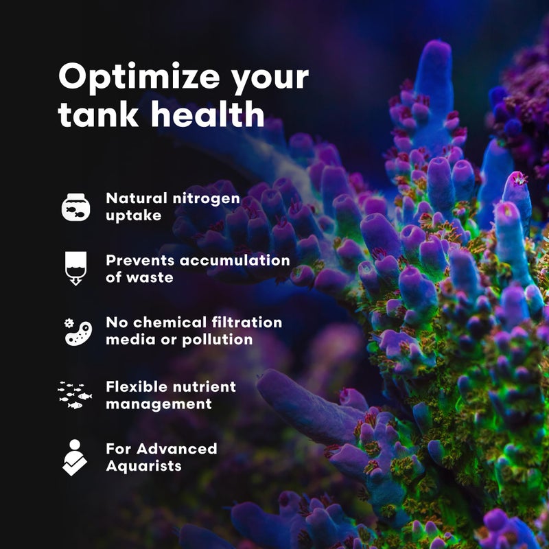 Brightwell Aquatics - NeoPhos - Balanced Phosphorus Source for Phosphorus-Limited, Low-Nutrient Reef Aquaria - Aquarium Water Treatments, 16.9 fl oz - Image 4