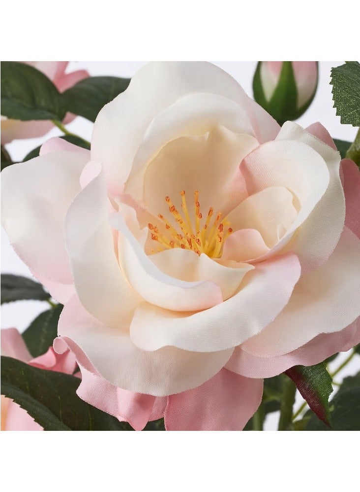 آيكيا فراكتا نبات صناعي في آنية, داخلي/خارجي/ورد زهري, - Image 3