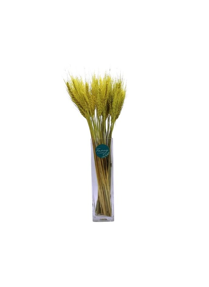 Generic Fancy Dry Wheat Grass Bouquet Natural Dried Flowers (lemon ginger 50  - Image 1
