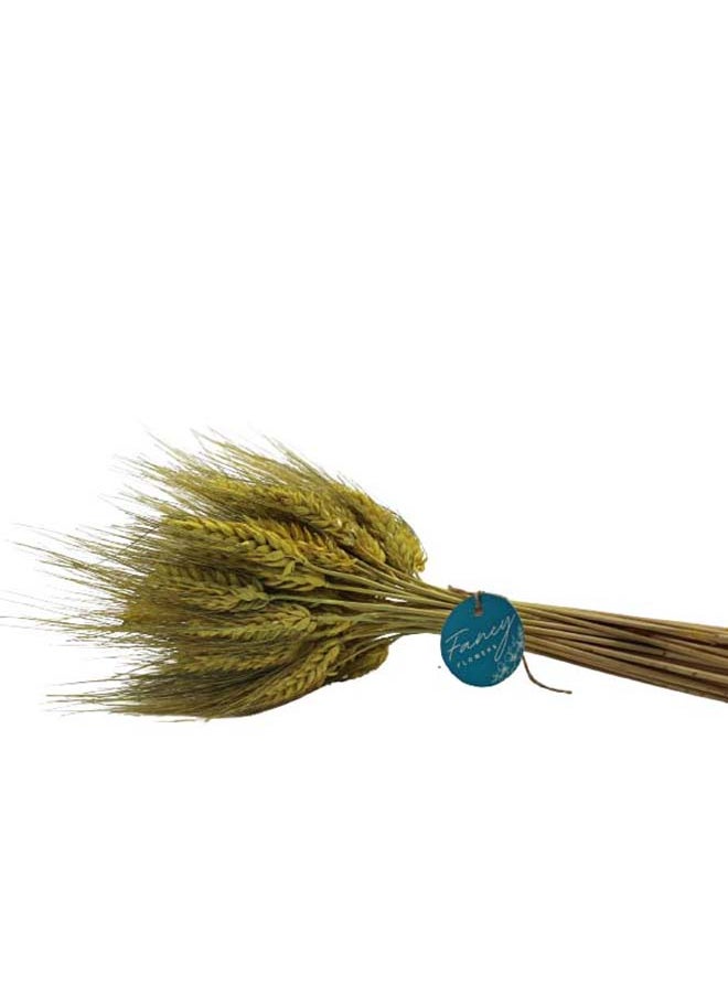 Generic Fancy Dry Wheat Grass Bouquet Natural Dried Flowers (lemon ginger 50  - Image 3