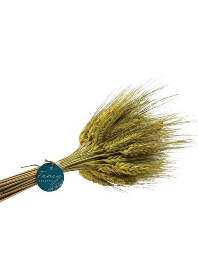 Generic Fancy Dry Wheat Grass Bouquet Natural Dried Flowers (lemon ginger 50  - Image 4