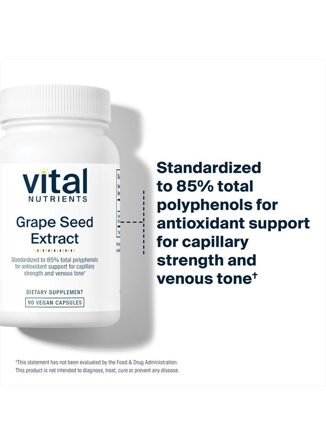 Grape Seed Extract - Potent Antioxidant and Support for Vein Health - 90 Vegetarian Capsules per Bottle - 100 mg