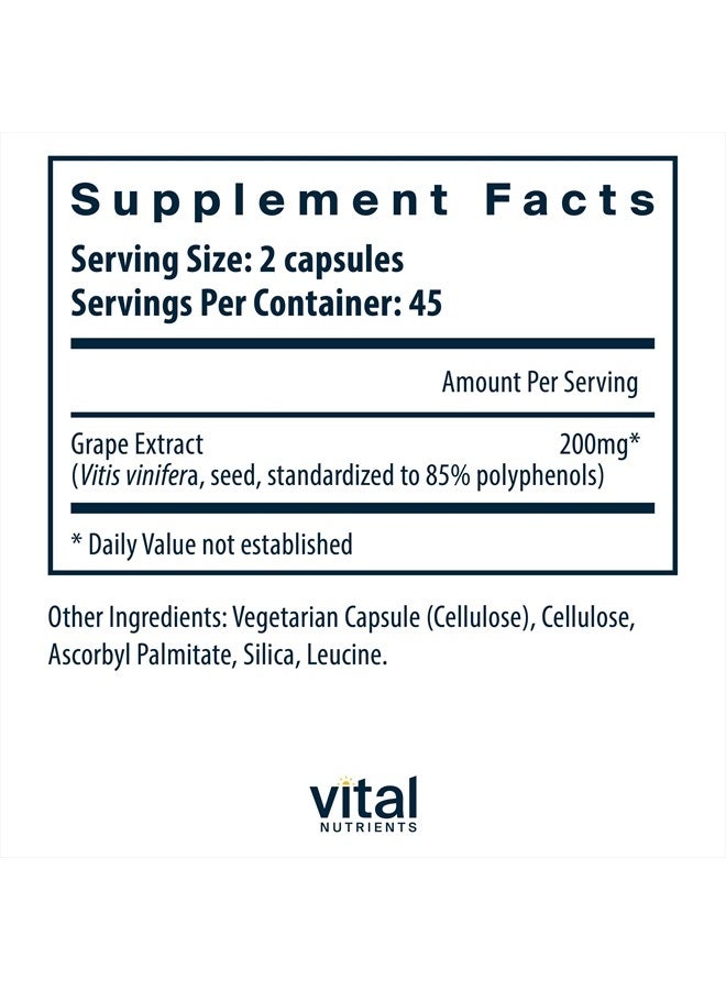 Grape Seed Extract - Potent Antioxidant and Support for Vein Health - 90 Vegetarian Capsules per Bottle - 100 mg