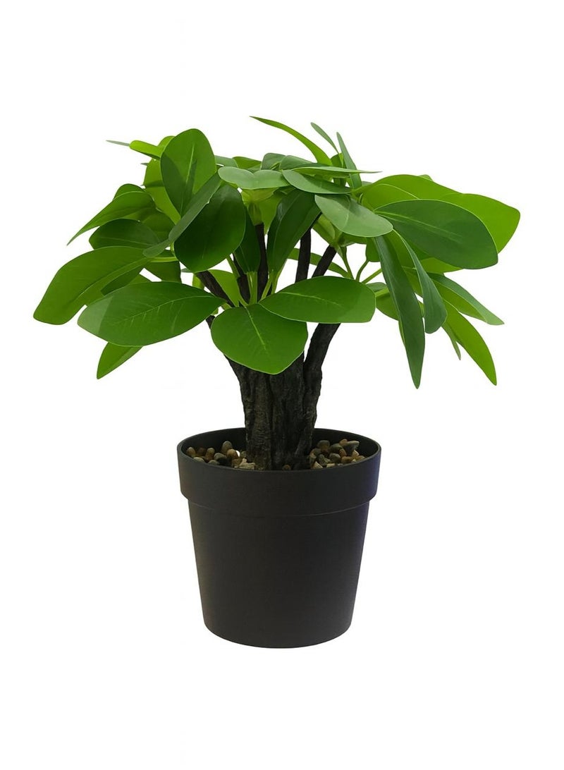 نبات الاصطناعي ذو الأوراق الخضراء الصغيرة مع وعاء أسود، قطعة ديكورية صغيرة مزيفة للمنزل والمكتب والحمام وطاولة المطبخ - Image 1