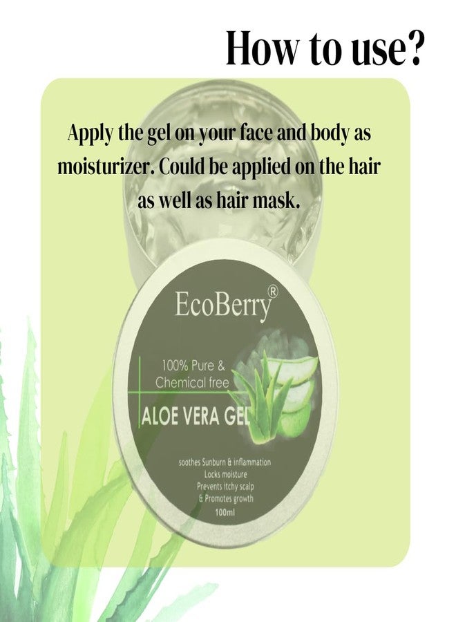 EcoBerry Pure & Chemical Free Aloe Vera Gel, Soothes Skin, Sun burn, Anti-Ageing, Reduces Dandruff, Antioxidant Rich, Anti-inflammatory, Natural & Handmade, Paraben Free, Vegan, 100ml - Image 4