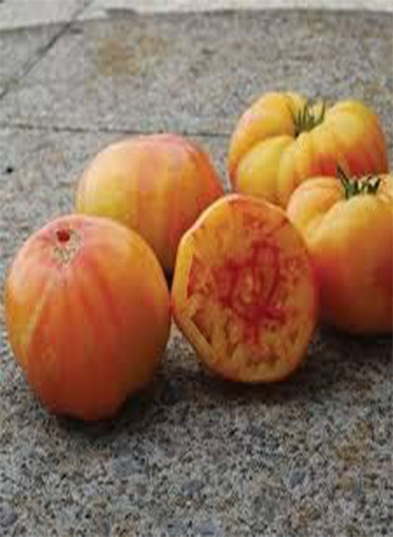 GGOOT 15 Tomato Vegetable Seeds Yellow & Red. - Image 3
