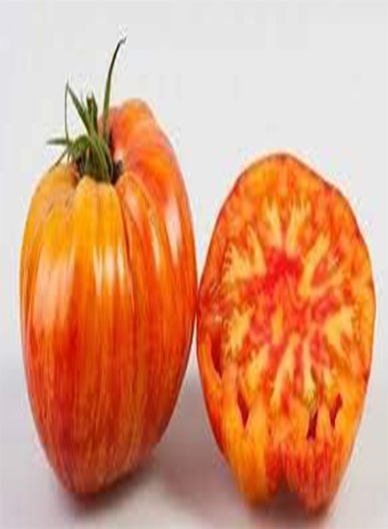 GGOOT 15 Tomato Vegetable Seeds Yellow & Red. - Image 2