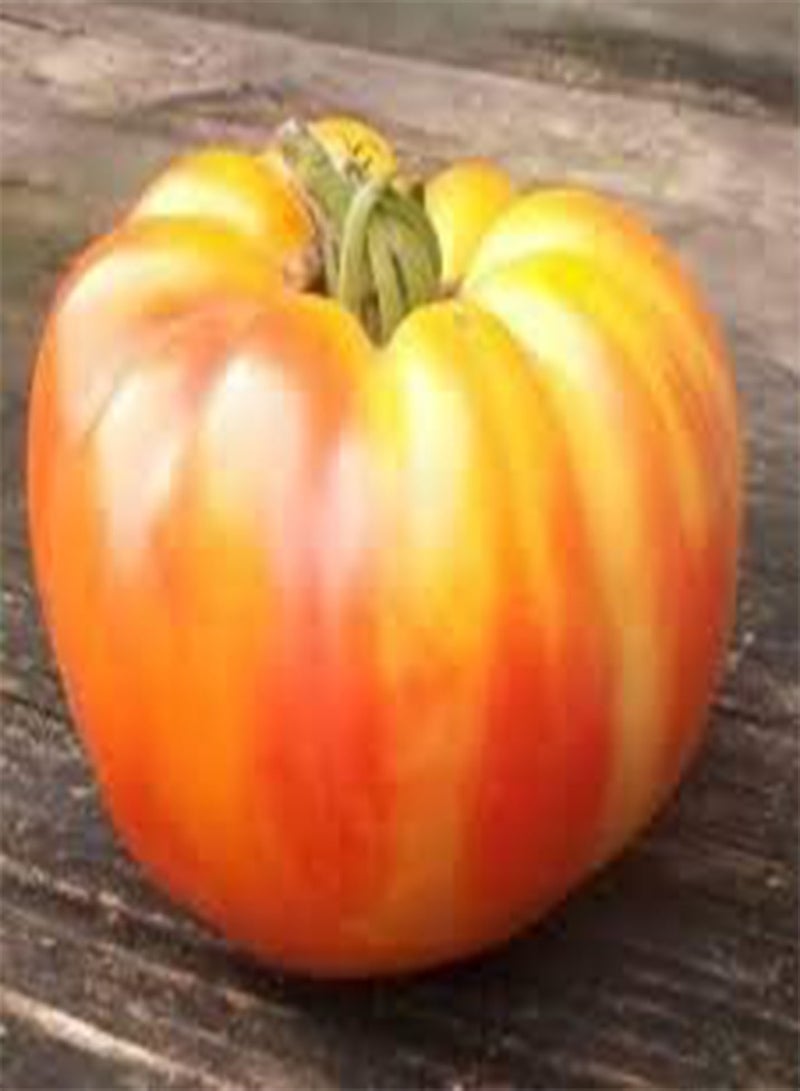 GGOOT 15 Tomato Vegetable Seeds Yellow & Red. - Image 1