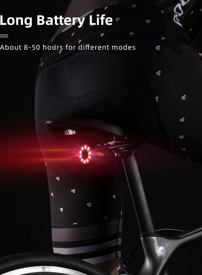 Rockbros Bike Tail Light, Rear Bike Light, 5 Modes, Type-C Rechargeable, 1oz Lightweight, IPX5, Aluminum Alloy Bike Taillight for Night Riding - Image 3
