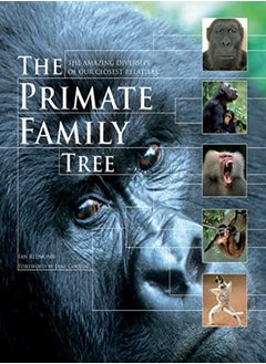 Primate Family Tree