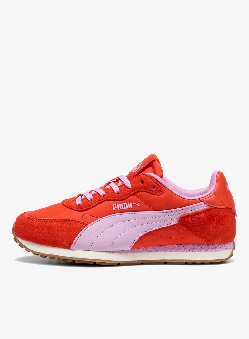 St Miler Rose