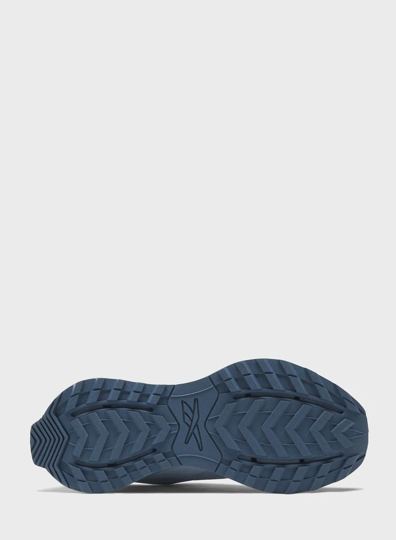 Reebok Zig Dynamica 4 Adventure