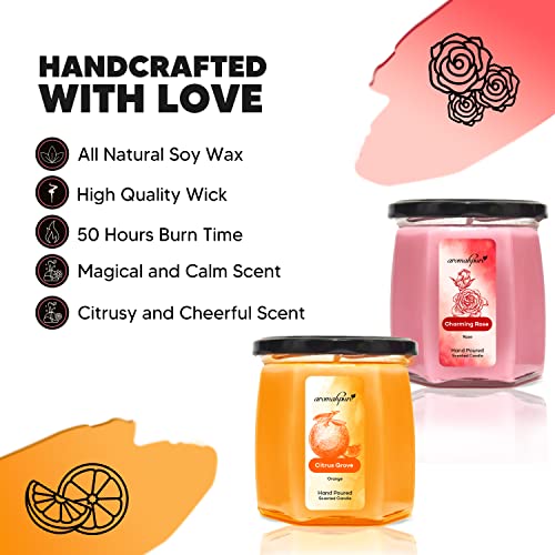 Aromahpure Scented Candles (Set 1) (50 Hours) (100% Soy Wax)- Handcrafted | Smoke-Free | (Orange, Rose) - Image 2