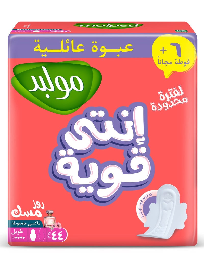 زهرة المسك عبوة اقتصادية طويلة 44+6 فوطة هديه