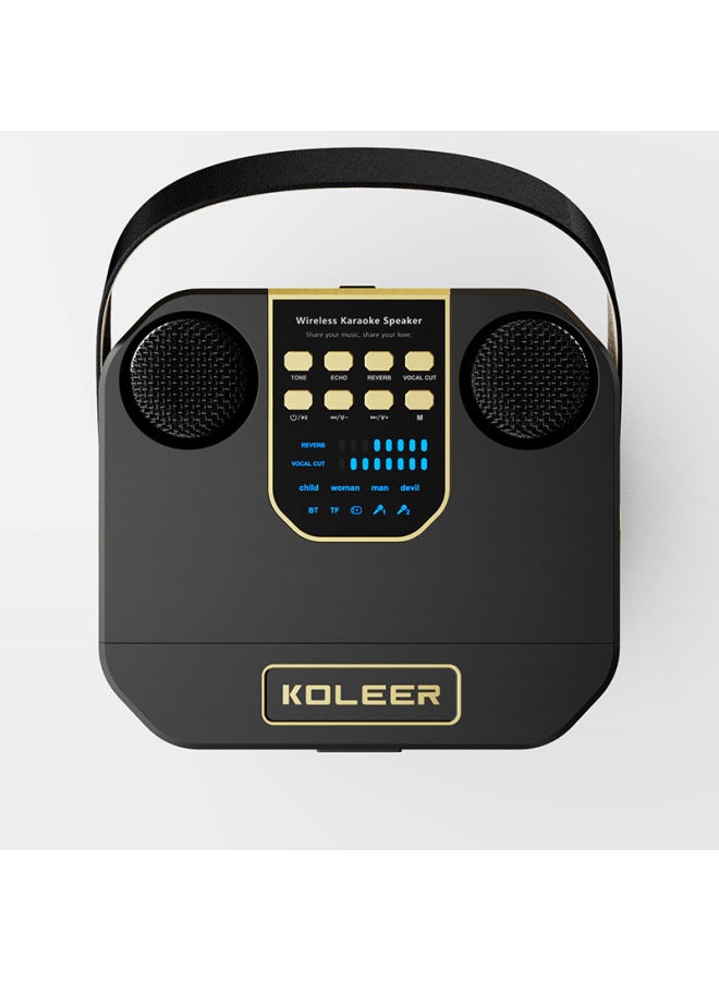 KOLEER Double Karaoke Portable Audio S882 Family Party Outdoor Dinner Essential Artifact Portable Source Straight Hair - Image 3