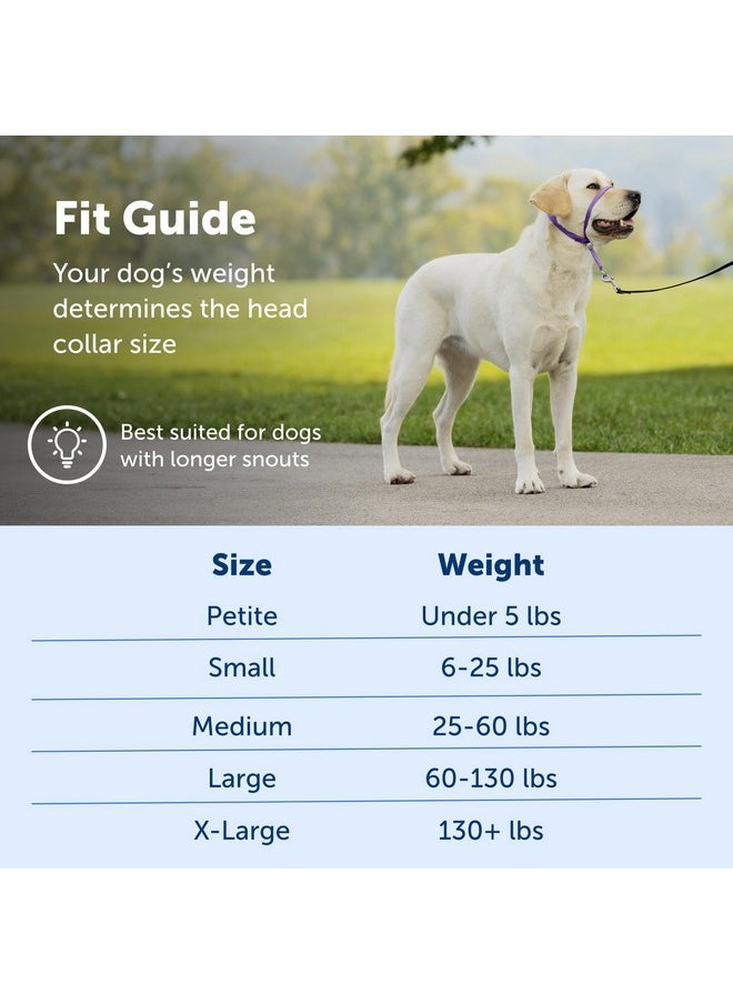 PetSafe - PetSafe Gentle Leader No-Pull Head Collar for Dogs, Dog Head Collar - The Ultimate Solution to Pulling, Padded Nose Loop, Quick-Snap Neck Strap, Dog Halter, Large - Black - Image 1