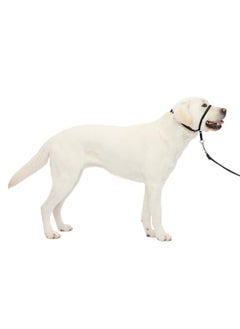PetSafe PetSafe Gentle Leader No-Pull Head Collar for Dogs, Dog Head Collar - The Ultimate Solution to Pulling, Padded Nose Loop, Quick-Snap Neck Strap, Dog Halter, Large - Black  - Image 1
