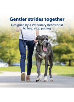 PetSafe PetSafe Gentle Leader No-Pull Head Collar for Dogs, Dog Head Collar - The Ultimate Solution to Pulling, Padded Nose Loop, Quick-Snap Neck Strap, Dog Halter, Large - Black  - Image 2