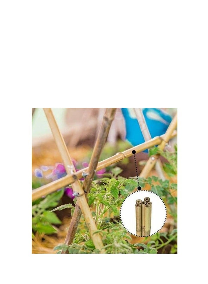 ماركة غير محددة أقطاب الخيزران الطبيعية من FFD - أوتاد دعم النباتات للحدائق الداخلية والخارجية، أوتاد خيزران 100 سم للطماطم والفاصوليا والنباتات في الأصص وتسلق الكروم  - Image 3