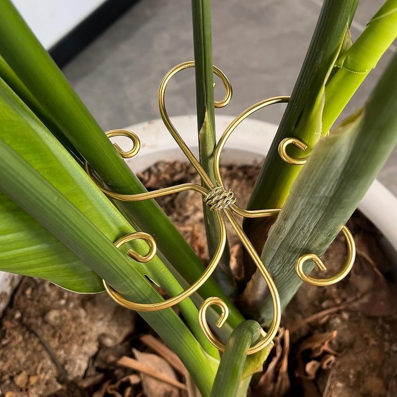 Aputue Plant Stem Support, 6Pcs Plant Support Stakes with Adjustable Clamps, Heavy Duty Plant Stems Holder for Indoor Outdoor Climbing Plants Stabilization and Growth Support - Image 4
