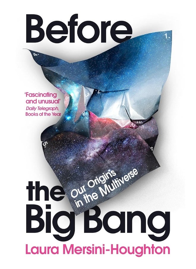 Before the Big Bang: Our Origins in the Multiverse