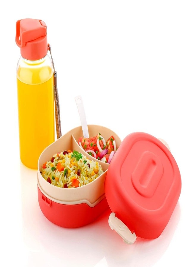 JIGVA 2 Compartment Lunch Box Combo with Water Bottle | Airtight BPA-Free Tiffin Set | Durable Leakproof Food Container for Kids School, Office Lunch & Travel Use - Image 4