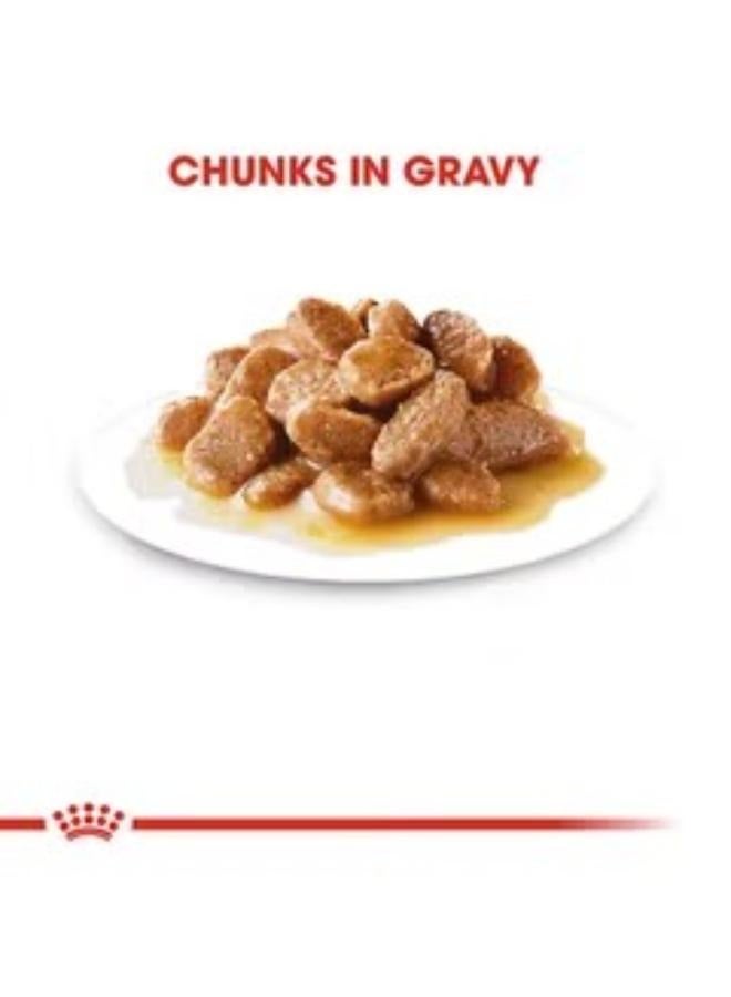 رويال كانين مجموعة أكياس طعام رطب صحي للكلاب البالغة بحجم صغير 85 جراماً من 12 قطعة - Image 3