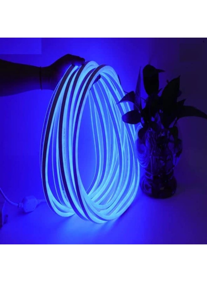 شريط نيون LED  ازرق بطول 5 متر مع محول 12 فولت 1 أمبير، مقاوم للماء للمنزل والحفلات اضاءة ليد - Image 2