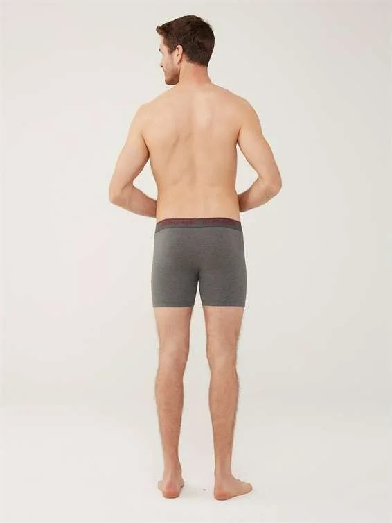 U.S. Polo Assn. BASE. Polo Assn. Men's Black - Anthracite Melange - Navy Blue 3-Piece Long-Legged Boxer 80454Y
