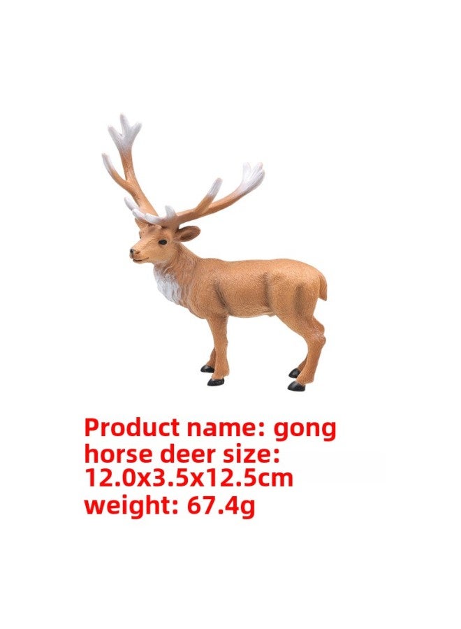 Simulation Animal Model Wild Animal Marine Life Home Decoration Children's Early Education Toys-Color:M4252 Male Red Deer - Image 1