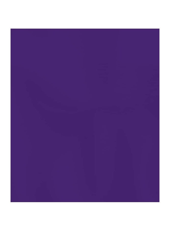 Rit All-Purpose Liquid Dye, Royal purple - Image 3