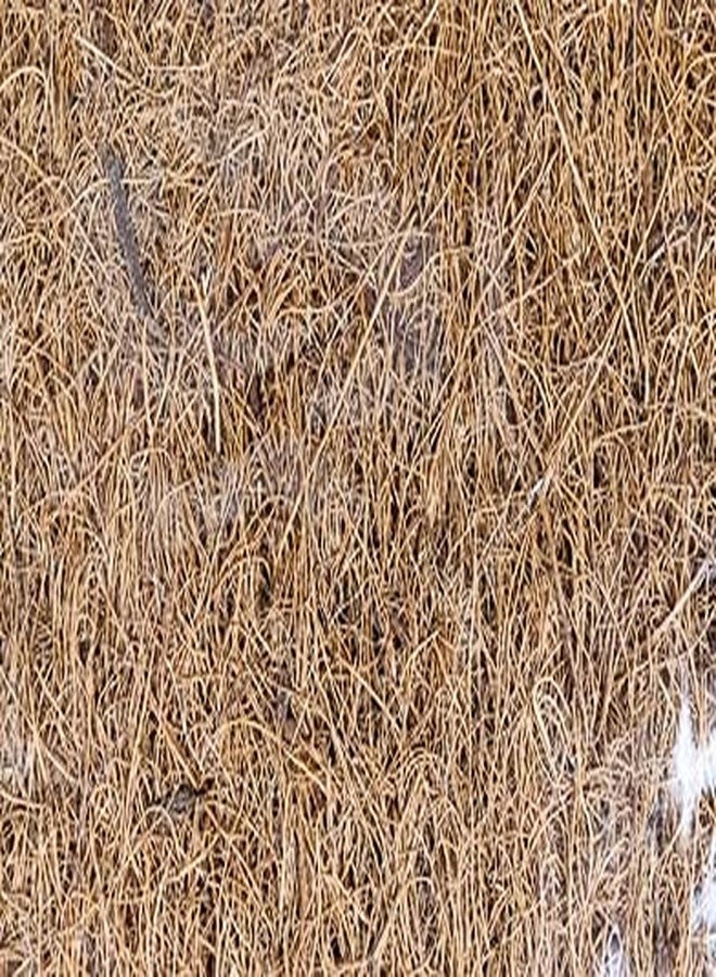 Josh's Frogs Coco Mat- Substrate or Terrarium Background (12"x12") - Image 3