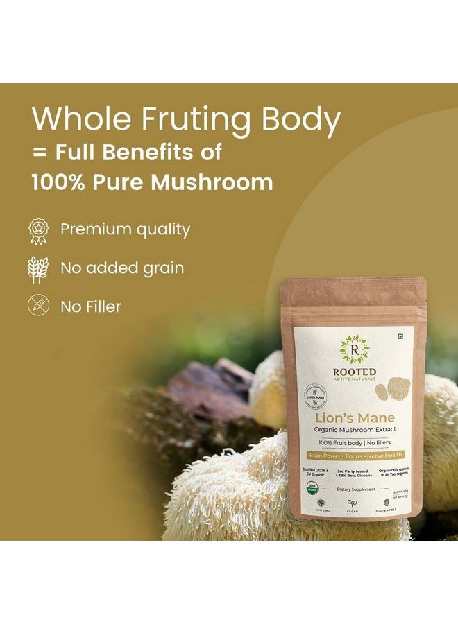 Rooted Actives Lions Mane mushroom Extract (60 g) | Memory, Focus, Brain Powder & Nerve Health. USDA Organic, 38% Beta Glucans - Image 2