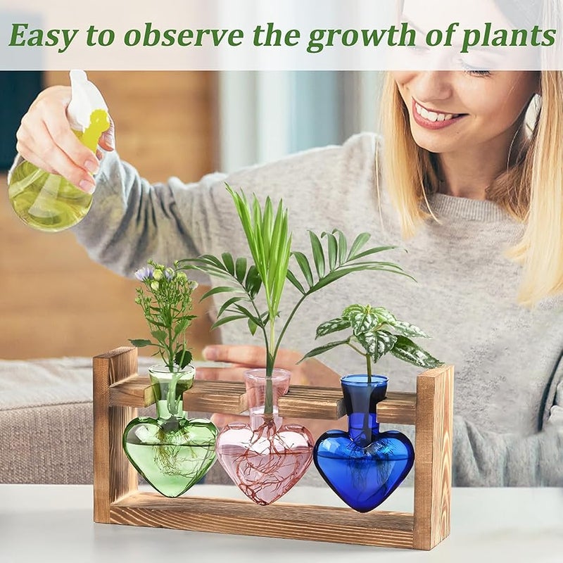 Lifecapido Heart Shaped Propagation Stations, Plant Terrarium with Wooden Stand, Plant Propagation Station for Hydroponics Office Garden Home Decor, Gifts for Women Plant Lover (3 Vases, Multicolor) - Image 3