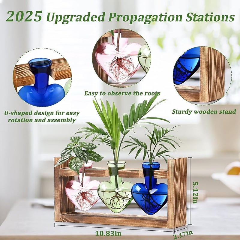 Lifecapido Heart Shaped Propagation Stations, Plant Terrarium with Wooden Stand, Plant Propagation Station for Hydroponics Office Garden Home Decor, Gifts for Women Plant Lover (3 Vases, Multicolor) - Image 2