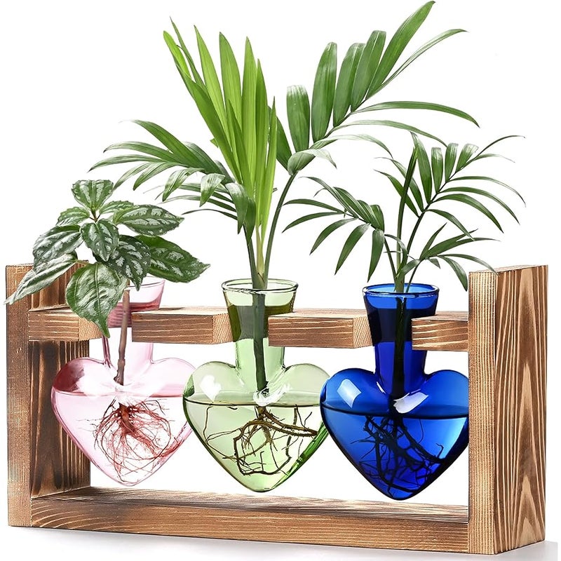 Lifecapido Heart Shaped Propagation Stations, Plant Terrarium with Wooden Stand, Plant Propagation Station for Hydroponics Office Garden Home Decor, Gifts for Women Plant Lover (3 Vases, Multicolor) - Image 1