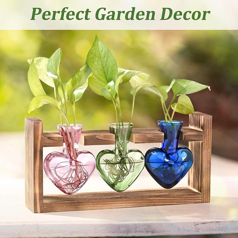 Lifecapido Heart Shaped Propagation Stations, Plant Terrarium with Wooden Stand, Plant Propagation Station for Hydroponics Office Garden Home Decor, Gifts for Women Plant Lover (3 Vases, Multicolor) - Image 5