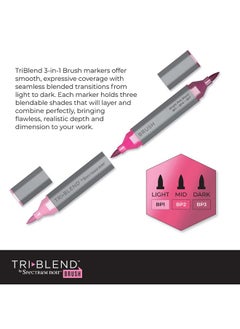 مجموعة أقلام تلوين Spectrum Noir Triblend Brush Nib Alcohol Markers مكونة من 24 لونًا - تأثير ظلال ألوان فريدة قابلة للمزج 3 في 1 - مجموعة كاملة (72 لونًا في المجموع) - pzsku/ZD10795D8239861C576B6Z/45/_/1732780779/a4216688-b3f5-41ae-ad9c-ade11033cda9